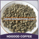 Green Coffee Bean---Arabica