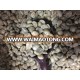 GREEN COFFEE BEAN -- CHINA-- ( GRADE-A )